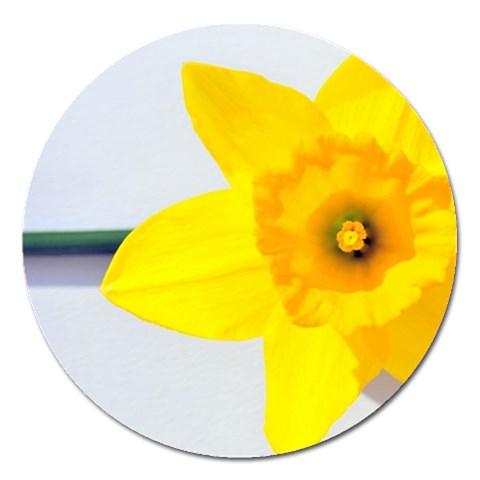 n Magnet 5  (Round) from ArtsNow.com Front