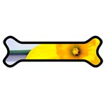 n Magnet (Dog Bone)