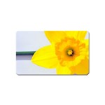 n Magnet (Name Card)