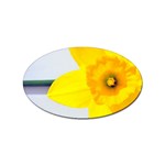 n Sticker Oval (100 pack)