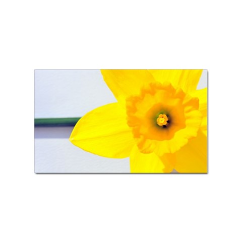 n Sticker Rectangular (10 pack) from ArtsNow.com Front