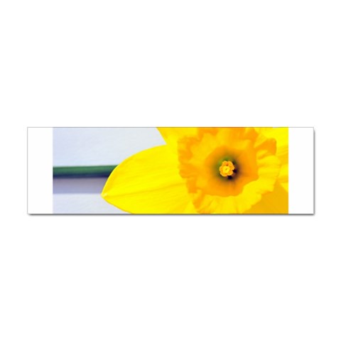 n Sticker Bumper (10 pack) from ArtsNow.com Front