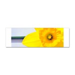 n Sticker Bumper (100 pack)