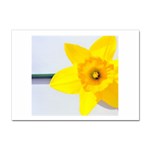 n Sticker A4 (10 pack)