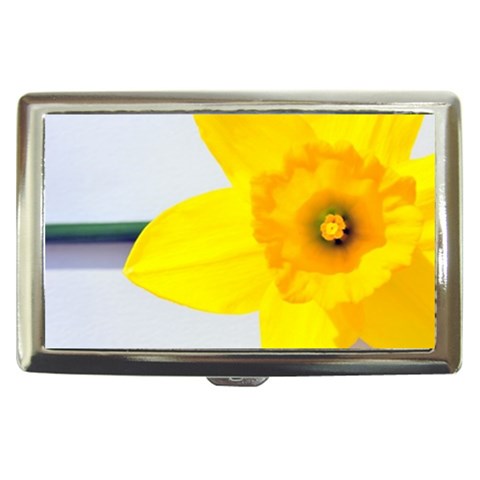 n Cigarette Money Case from ArtsNow.com Front