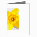 n Greeting Cards (Pkg of 8)