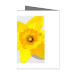 n Mini Greeting Cards (Pkg of 8)