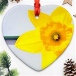 n Heart Ornament (Two Sides)