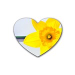 n Heart Coaster (4 pack)