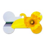 n Dog Tag Bone (One Side)