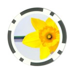 n Poker Chip Card Guard