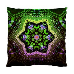 BluePod Star Cushion Case (Two Sides) from ArtsNow.com Front