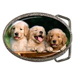 Golden Retriever 2 Belt Buckle