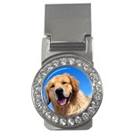 Golden Retriever 4 Money Clip (CZ)