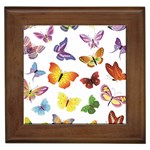 Bright Butterflies Framed Tile