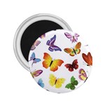 Bright Butterflies 2.25  Magnet