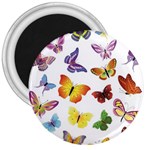 Bright Butterflies 3  Magnet