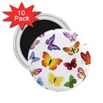 Bright Butterflies 2.25  Magnet (10 pack)