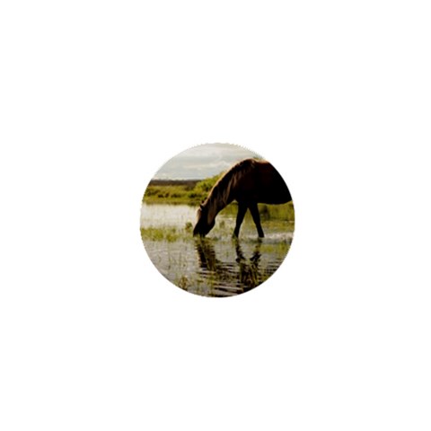 Horse in the Water 1  Mini Button from ArtsNow.com Front