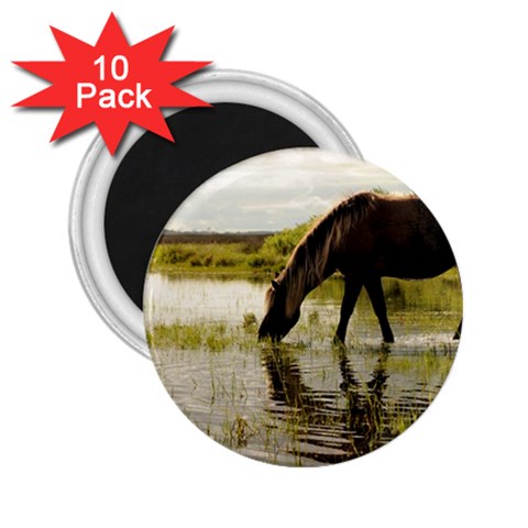 Horse in the Water 2.25  Magnet (10 pack) from ArtsNow.com Front