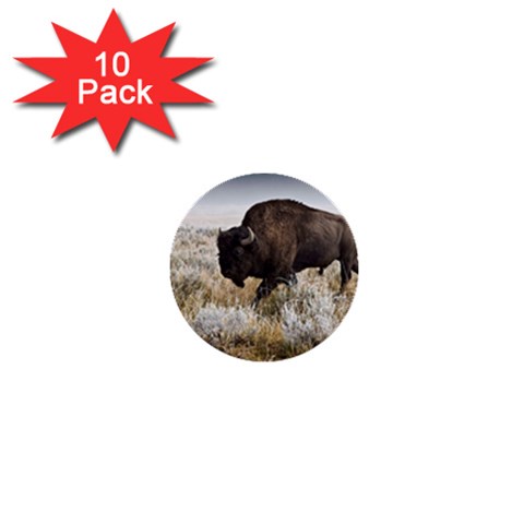 Buffalo 1  Mini Button (10 pack)  from ArtsNow.com Front