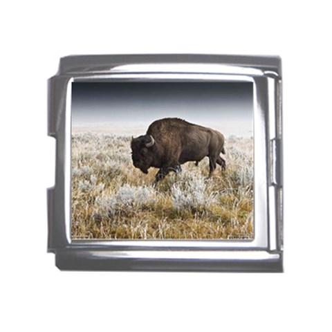 Buffalo Mega Link Italian Charm (18mm) from ArtsNow.com Front