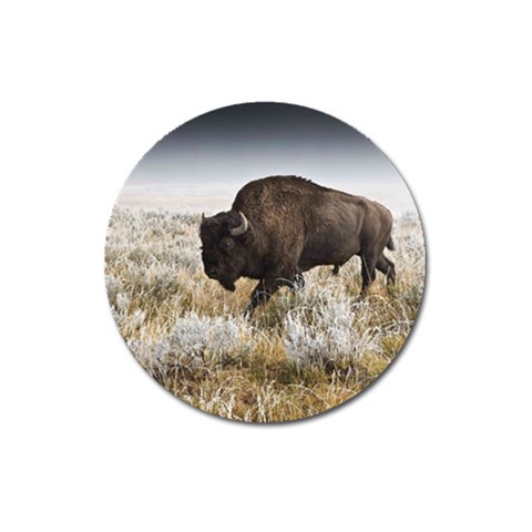 Buffalo Magnet 3  (Round) from ArtsNow.com Front
