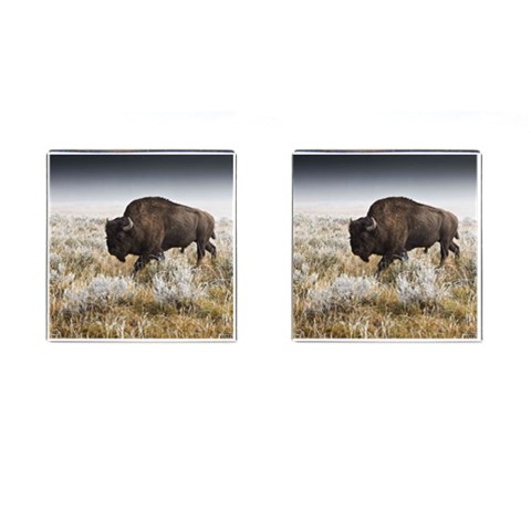 Buffalo Cufflinks (Square) from ArtsNow.com Front(Pair)