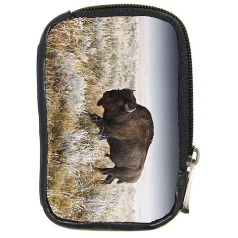 Buffalo Compact Camera Leather Case from ArtsNow.com Front