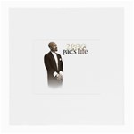 2Pac-Pacs Life Glasses Cloth (Medium)