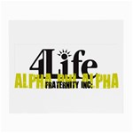 ALPHA 4 life Glasses Cloth (Small)