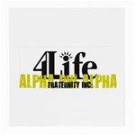 ALPHA 4 life Glasses Cloth (Medium, Two Sides)