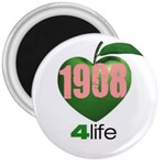 AKA 1908 4 life3 3  Magnet