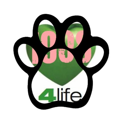 AKA 1908 4 life3 Magnet (Paw Print) from ArtsNow.com Front