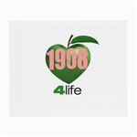 AKA 1908 4 life3 Glasses Cloth (Small)