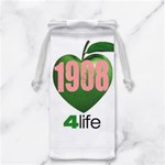 AKA 1908 4 life3 Jewelry Bag