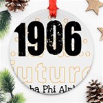 alpha -photo-3 Ornament (Round)