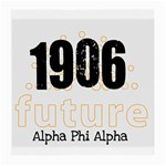 alpha -photo-3 Glasses Cloth (Medium, Two Sides)