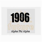 alpha -photo-3 Glasses Cloth (Large)
