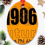 alpha -photo-2 Ornament (Oval)