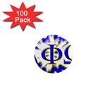 apo -photo-3 1  Mini Magnet (100 pack) 