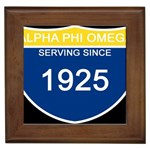 apo -photo-2 Framed Tile