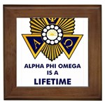 apo -photo-1 Framed Tile