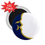 apo -photo- 10 2.25  Magnet (100 pack) 