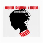 delta -photo-6 Glasses Cloth (Small)