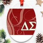 delta -photo-4 Ornament (Oval)