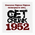 gamma sig -photo-7 Glasses Cloth (Medium, Two Sides)