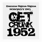 gamma sig -photo-6 Glasses Cloth (Medium, Two Sides)