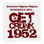 gamma sig -photo-5 Glasses Cloth (Medium, Two Sides)