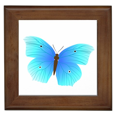 Blue Butterfly Framed Tile from ArtsNow.com Front